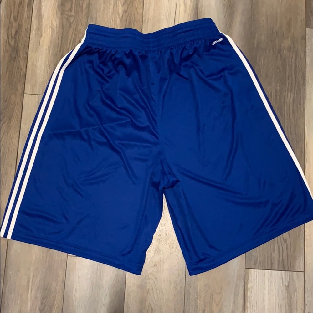 Shorts - Picture 2 of 4